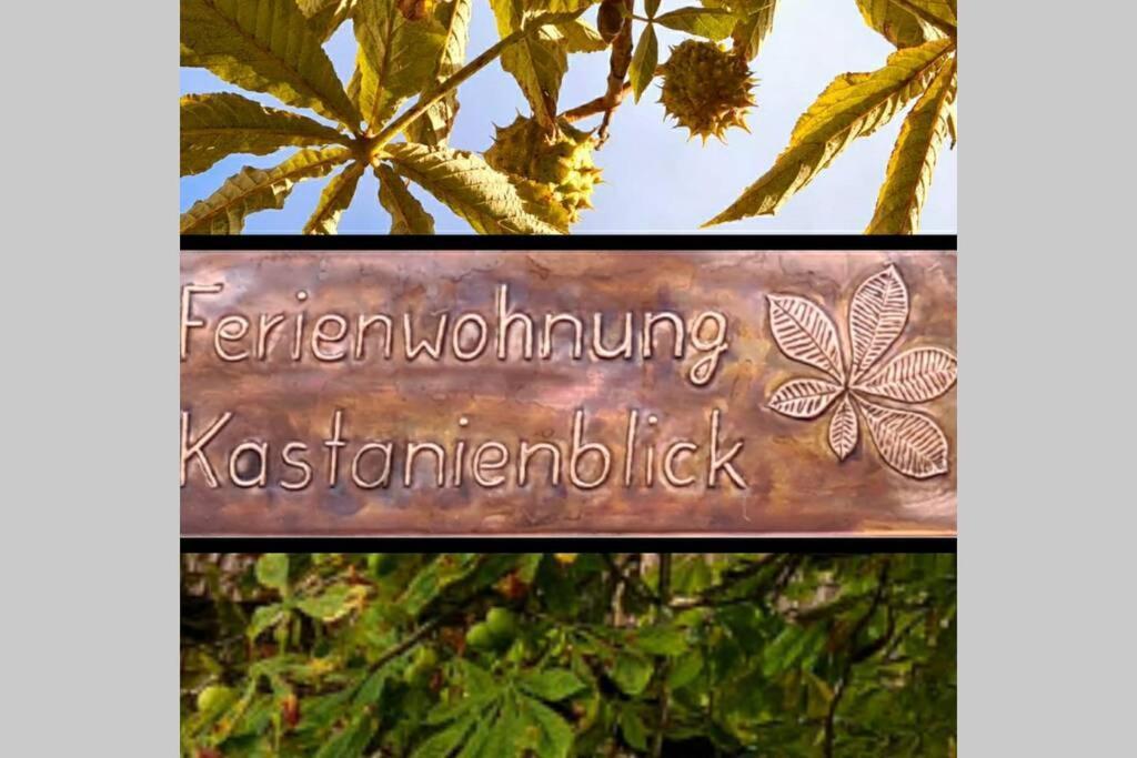 Kastanienblick Appartement Sankt Andreasberg Buitenkant foto
