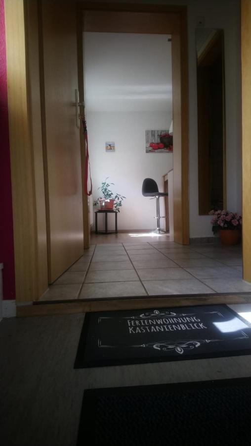 Kastanienblick Appartement Sankt Andreasberg Buitenkant foto
