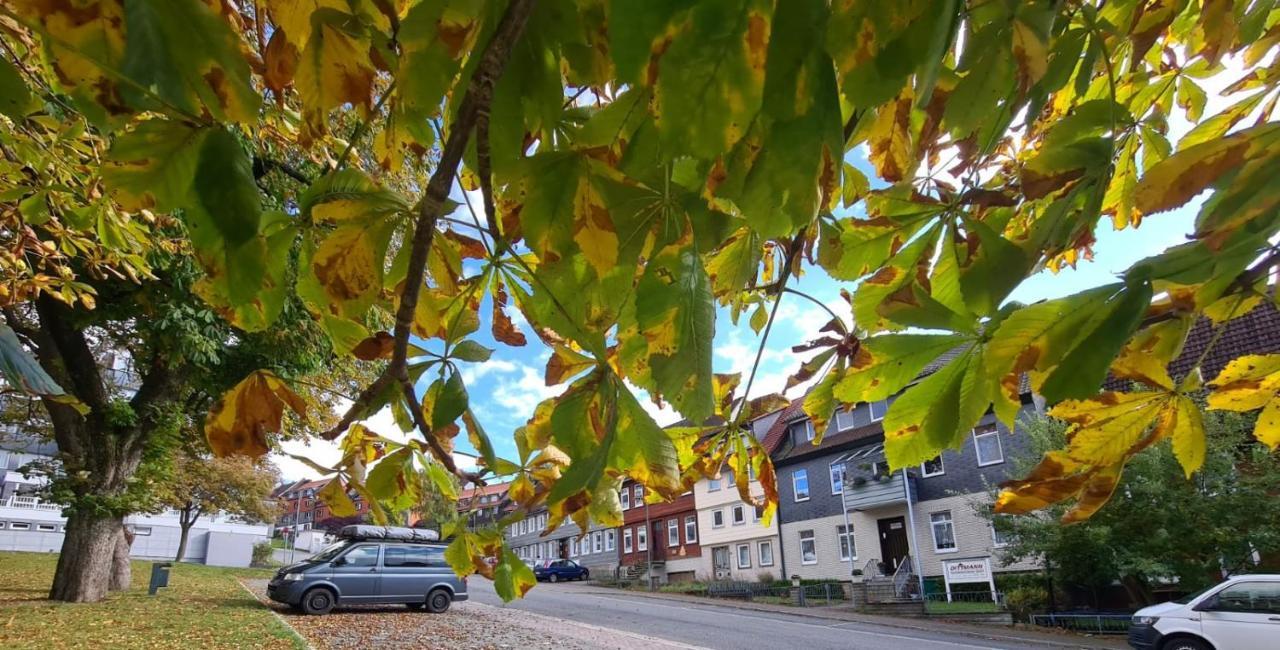Kastanienblick Appartement Sankt Andreasberg Buitenkant foto